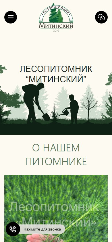 Первый экран сайта на телефоне: логотип, иллюстрация с деревьями и надпись «Лесопитомник Митинский»