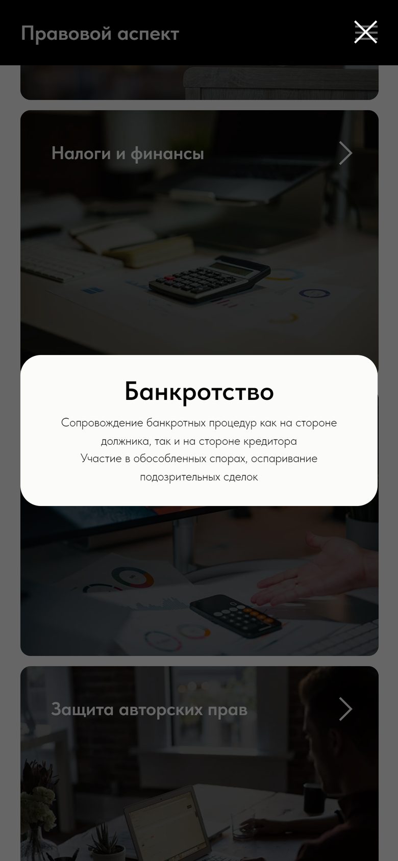 Открытая карточка «Банкротство» на телефоне: заголовок и две строки описания, кнопки заявки нет